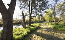 Glen Eden Cottages - Hobart Tourism 4