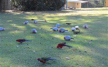 Lake Haven Castle Cottage - Hobart Tourism 2