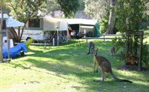 Lilly May Cottage - Tourism TAS 5