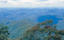 Lyrebird Studio - Tourism TAS 2