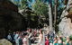 Kangaroo Valley Bush Retreat - thumb 3