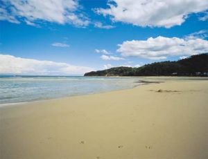 Jervis Bay NSW Tourism TAS