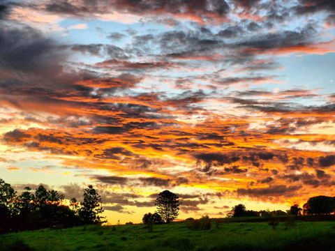 Yarraman Caravan Park & Cabins - Tourism TAS 9