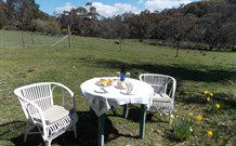 Pinegrove Cottage - Hobart Tourism 5