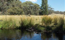 Pinegrove Cottage - Hobart Tourism 3