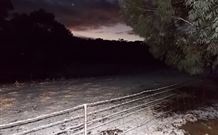 Pinegrove Cottage - Hobart Tourism 7