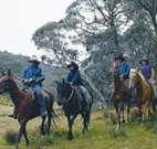 Possums Hideaway - Tourism TAS