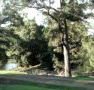 Rustic Caravan Park - Tourism TAS