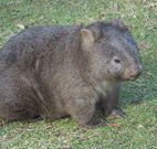 Seakissed Beachhouse - Hobart Tourism