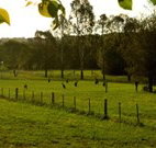 Stone Cottage Mittagong - Tourism TAS