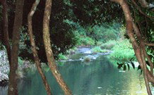 The Dell Blackheath - Tourism TAS 1