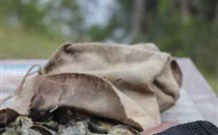 The Woods At Pokolbin - Hobart Tourism 3