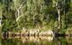 The Woods At Pokolbin - thumb 5