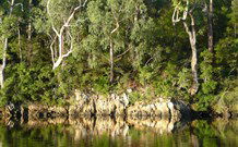 The Woods At Pokolbin - Hobart Tourism 5