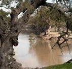 Valley View Cottage Hunter Valley - Hobart Tourism