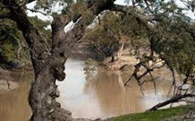 Valley View Cottage Hunter Valley - Hobart Tourism 0