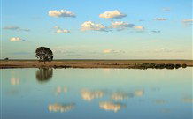 Valley View Cottage Hunter Valley - Hobart Tourism 4