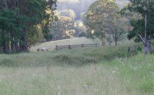 White Sands Cottage - Tourism TAS 2