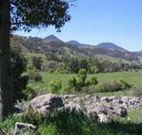 Woolshed Hill Estate - Hobart Tourism