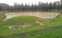 Yester Grange Cottages - Tourism TAS 5