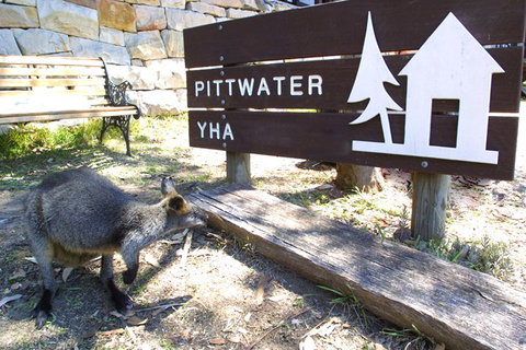 Sydney - Pittwater YHA - Tourism TAS 9