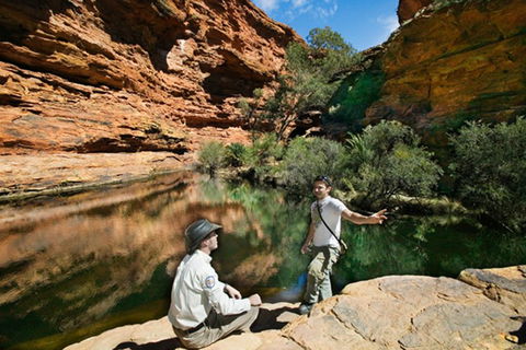 Kings Canyon Holiday Park - Tourism TAS 8