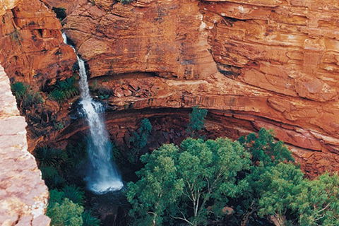 Kings Canyon Holiday Park - Tourism TAS 9