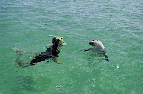 Coodlie Park - Port Kenny - Venus Bay - Tourism TAS 3