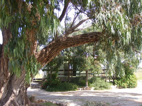 Coodlie Park - Port Kenny - Venus Bay - Tourism TAS 4