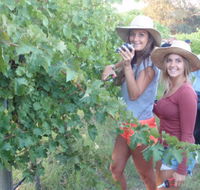 McLaren Vale Backpackers - Hobart Tourism