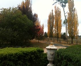 Glen Waverly Bed And Breakfast And Alpacas - Tourism TAS 0