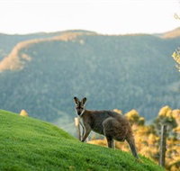 Spring Creek Mountain Cafe and Cottages - Tourism TAS