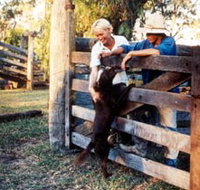 Minmore Farmstay Bed and Breakfast - Tourism TAS