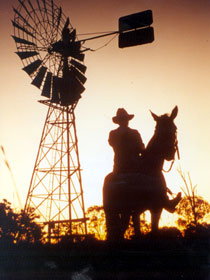 Minmore Farmstay Bed And Breakfast - Tourism TAS 1