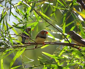 Adels Grove Camping Ground - Tourism TAS 1