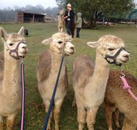 Bunyip Springs Farmstay - Tourism TAS