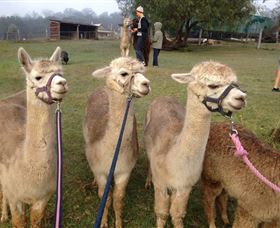 Bunyip Springs Farmstay - Tourism TAS 0