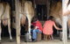 Bunyip Springs Farmstay - thumb 2