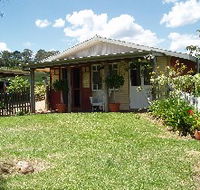 Bunnyconnellen Olive Grove and Vineyard - Tourism TAS