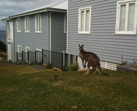 Hyams Beach Bed And Breakfast - Hobart Tourism 6