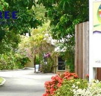 At The Mango Tree - Hobart Tourism
