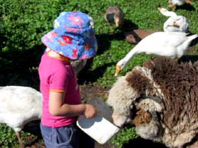 Cedar Glen Farmstay - Tourism TAS 1