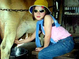 Cedar Glen Farmstay - Tourism TAS 2