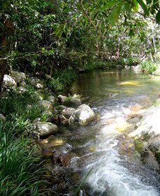 Sweetwater Lodge - Hobart Tourism 3