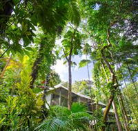 Daintree Eco Lodge and Spa - Hobart Tourism