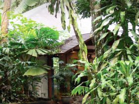 Heritage Lodge And Spa - In The Daintree - Hobart Tourism 0