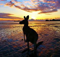 Cape Hillsborough Nature Tourist Park - Tourism TAS