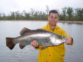Mango Paradise Bed And Barra - Hobart Tourism 1
