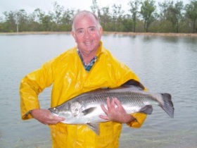 Mango Paradise Bed And Barra - Hobart Tourism 2