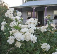 Thistledown Country Retreat - Hobart Tourism